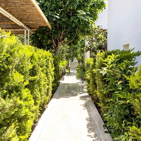 Hotel Costa Maya 3*