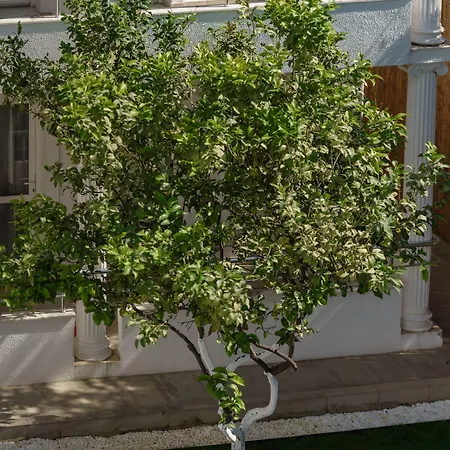 Hotel Costa Maya Bodrum