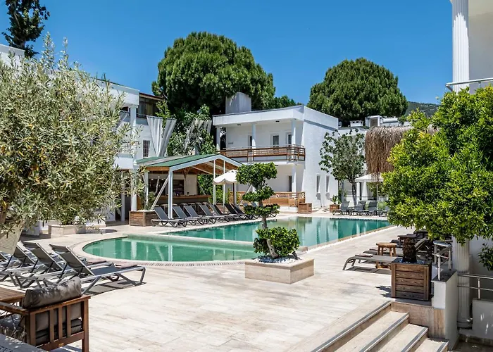 Costa Maya מלון 3*