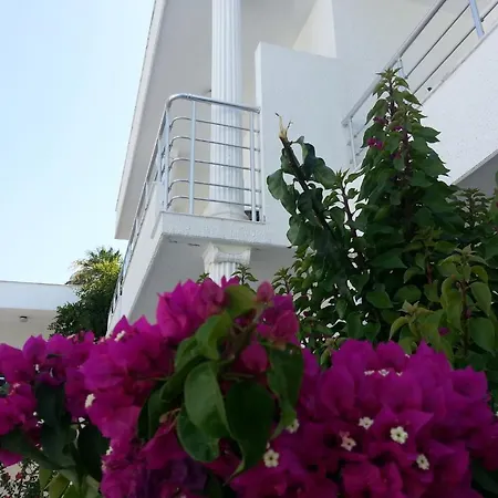 Costa Maya Hotel 3*