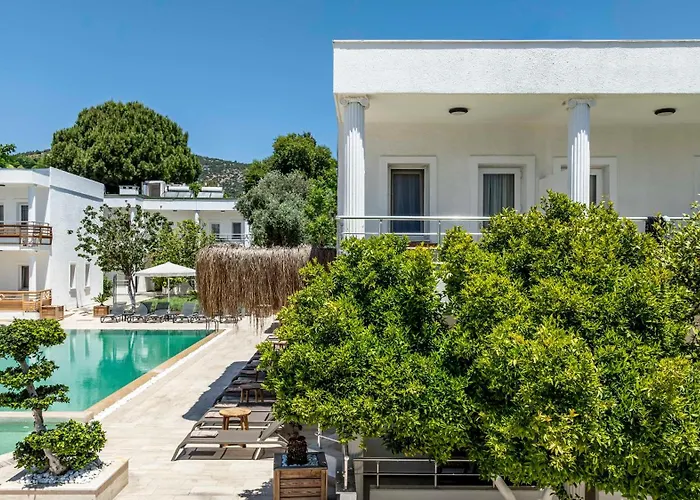 Costa Maya Szálloda