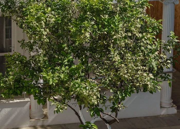 Hotel Costa Maya Bodrum