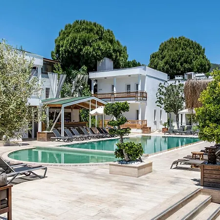 Costa Maya 호텔 3*