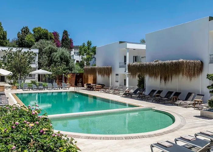 Costa Maya 3* Бодрум